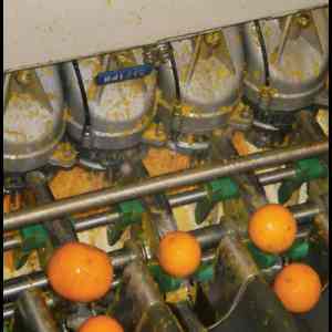 Brown oil extractor