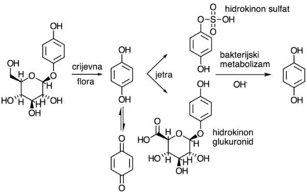 detoksikacija hidrokinona
