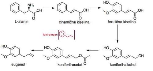 eugenol