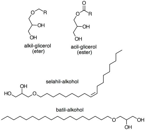 alkil gliceroli