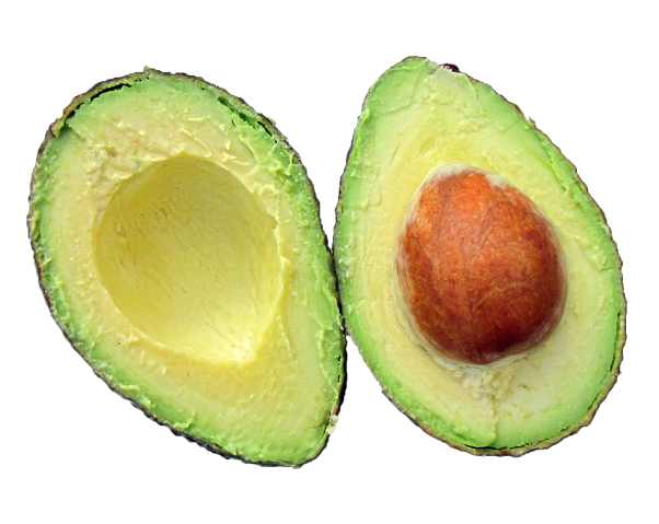 avokado
