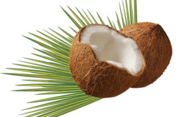 kokos
