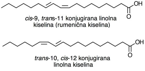 konjugirana linolna kiselina