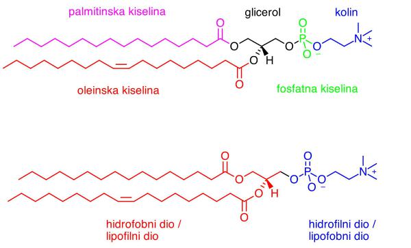 lecitin