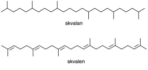 skvalan skvalen