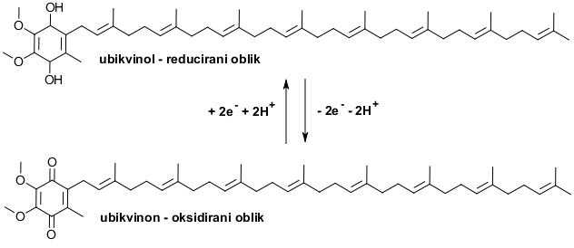Q10 oksidirani i reducirani