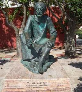 <a href="https://commons.wikimedia.org/wiki/File:Ibn_al-Baytar.JPG">Keke999</a>, <a href="https://creativecommons.org/licenses/by-sa/4.0">CC BY-SA 4.0</a>, via Wikimedia Commons <a href="https://commons.wikimedia.org/wiki/File:Ibn_al-Baytar.JPG">Keke999</a>, <a href="https://creativecommons.org/licenses/by-sa/4.0">CC BY-SA 4.0</a>, via Wikimedia Commons