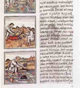 <a href="https://commons.wikimedia.org/wiki/File:Codex_florentino_51_9.jpg">Bernardino de Sahagún</a>, Public domain, via Wikimedia Commons <a href="https://commons.wikimedia.org/wiki/File:Codex_florentino_51_9.jpg">Bernardino de Sahagún</a>, Public domain, via Wikimedia Commons